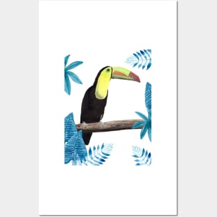 Toucan with tropical leaves Posters and Art